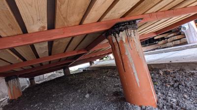 Прикрепленное изображение: PXL_20240810_083548112_2.jpg